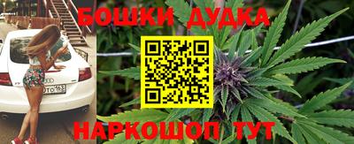 мдпв Боровичи