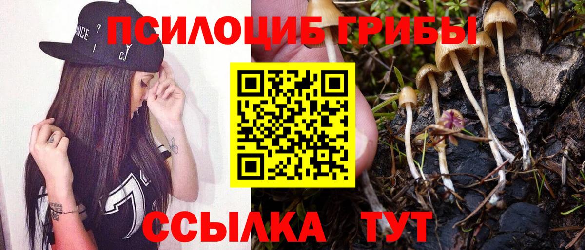 где купить наркоту  Вход с VPN  Кирово-Чепецк  Псилоцибиновые грибы MAGIC MUSHROOMS 